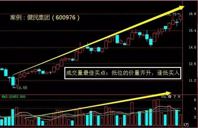 香港今晚开特马+开奖结果66期,香港今晚开特马，第66期开奖结果揭晓